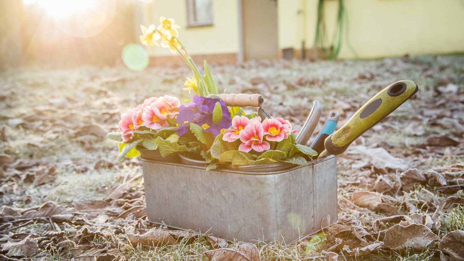 So können die Eisheiligen im Frühjahr zuschlagen. Doch angesichts des Klimawandels wird das in hiesigen Breiten immer unwahrscheinlicher.Foto: Christin Klose/dpa