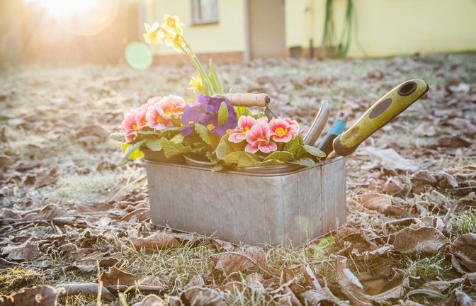 So können die Eisheiligen im Frühjahr zuschlagen. Doch angesichts des Klimawandels wird das in hiesigen Breiten immer unwahrscheinlicher.<span class='image-autor'>Foto: Christin Klose/dpa</span>