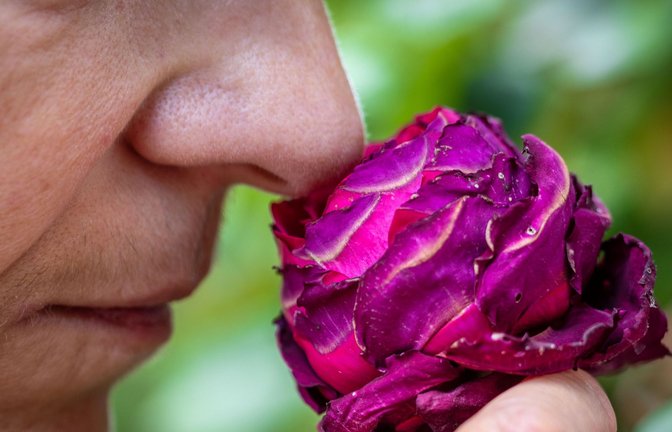 Der Geruchssinn des Menschen ist auch für die mentale Gesundheit, harmonische Beziehungen und zum Lösung von Alltagsproblemen wichtig.<span class='image-autor'>Foto: Jens Büttner/dpa</span>