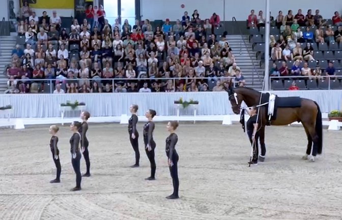 Der Pegasus-Wallach Däumling fühlt sich in der Halle der Voltigier-DM nicht wohl. <span class='image-autor'>Foto: privat</span>