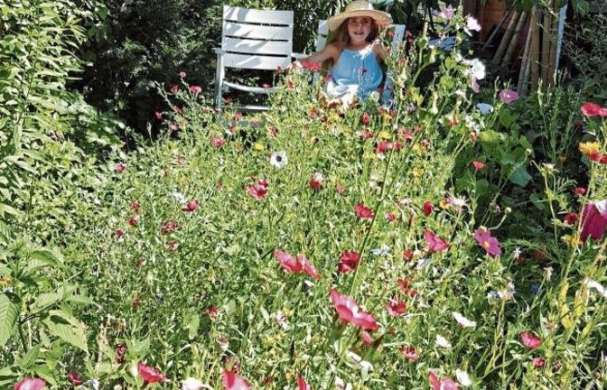 „Vaihinger Idylle – kleine Dame in Omas Blumengarten“, schreibt Caren Schneider zu ihrem bunten Foto.