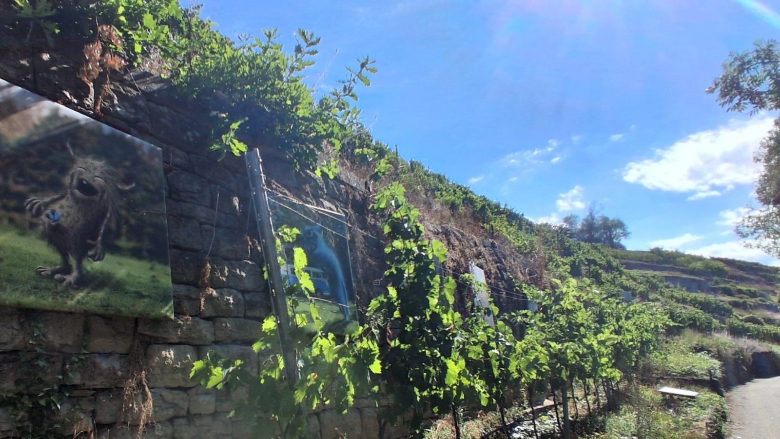 Kunst am Weinberg: Hingucker entlang des Radwegs. Kunst am Weinberg: Hingucker entlang des Radwegs.