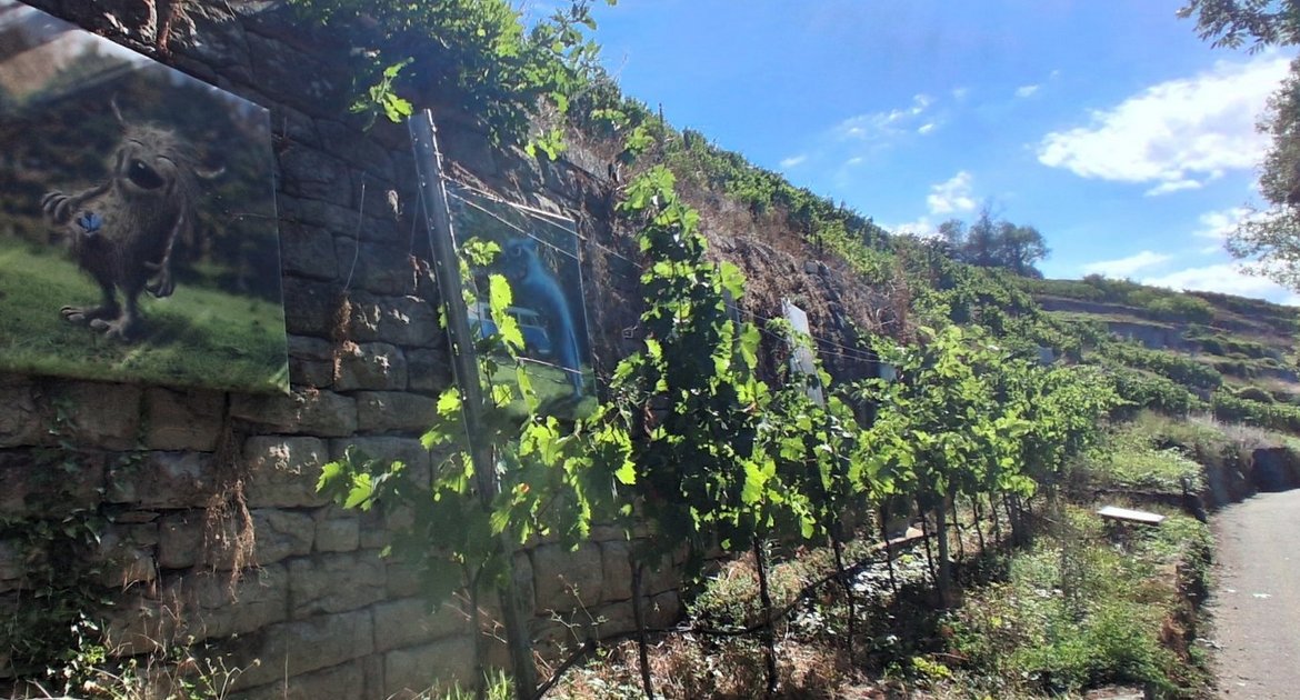 VKZ-Sommerrätsel 2026, Neckartalradweg bei Kirchheim. Foto: Kauer Kunst am Weinberg