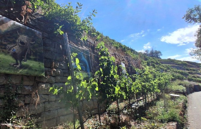 Kunst am Weinberg: Hingucker entlang des Radwegs.