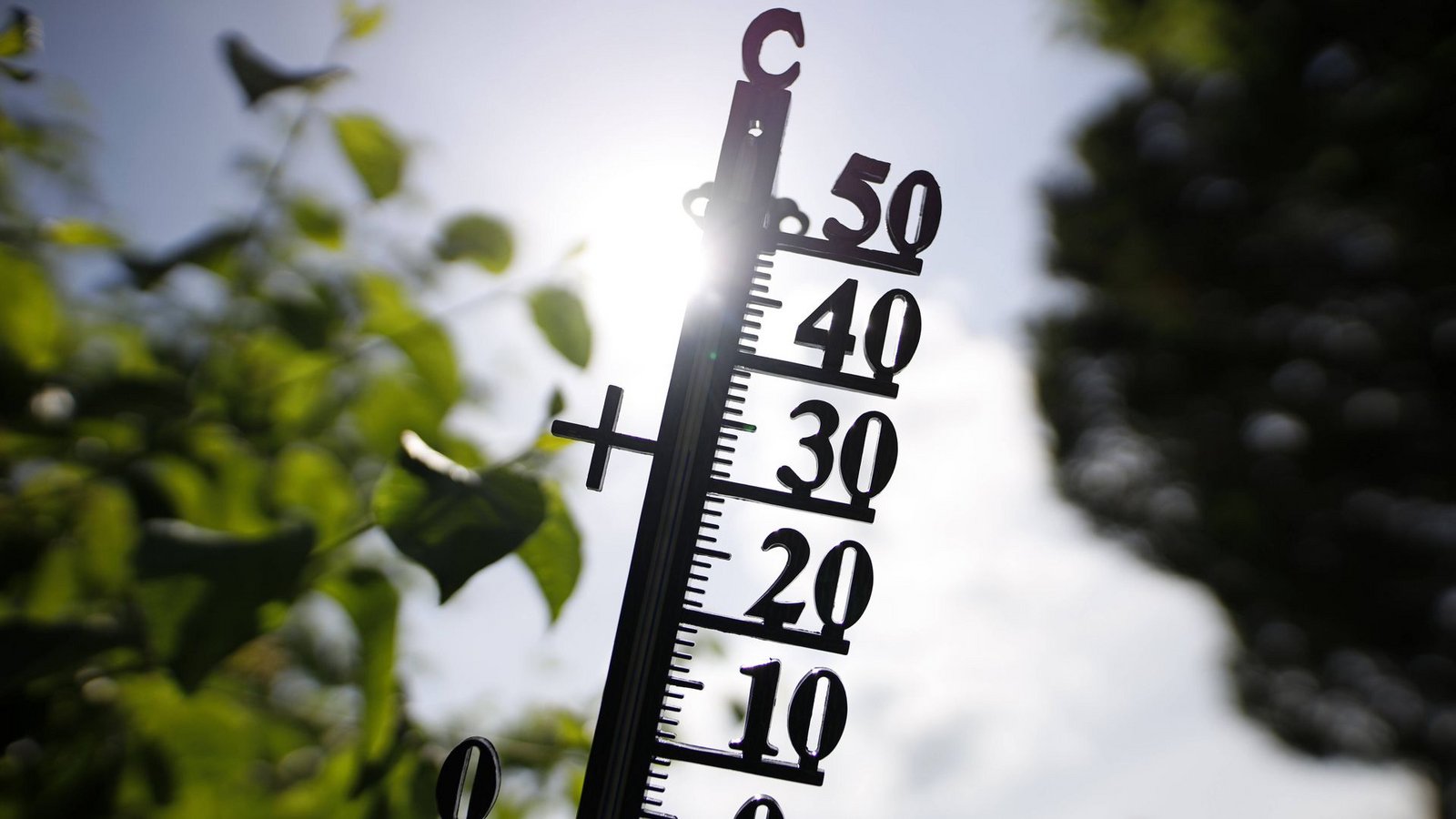 Die Sorge vor einem neuen Dürre-Sommer ist groß. Aktuell gibt es in den meisten Teilen Deutschlands keine Dürre. Der Regen muss dennoch kommen.Foto: Imago/ /Christoph Hardt