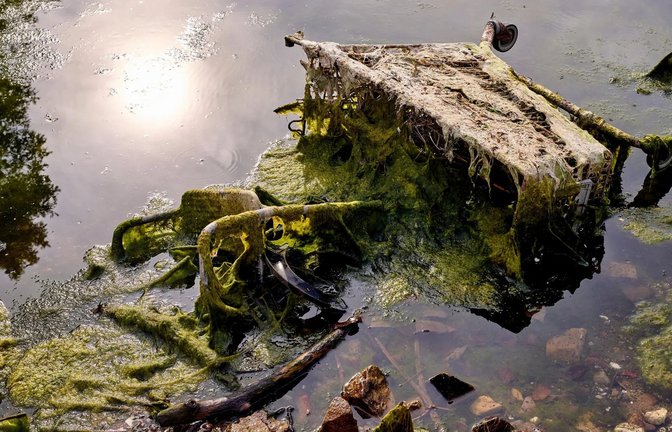 Alter Einkaufswagen im Rhein: Laut einer neuen Studie findet sich im größten deutschen Fluss deutlich mehr Müll als erwartet.<span class='image-autor'>Foto: Thomas Frey/dp</span>