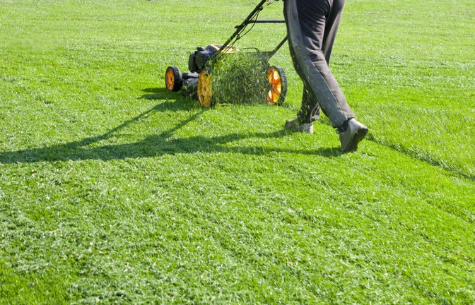 Den Rasen können Sie in der Regel auch mittags mähen.<span class='image-autor'>Foto: Tretyakov Viktor / shutterstock.com</span>