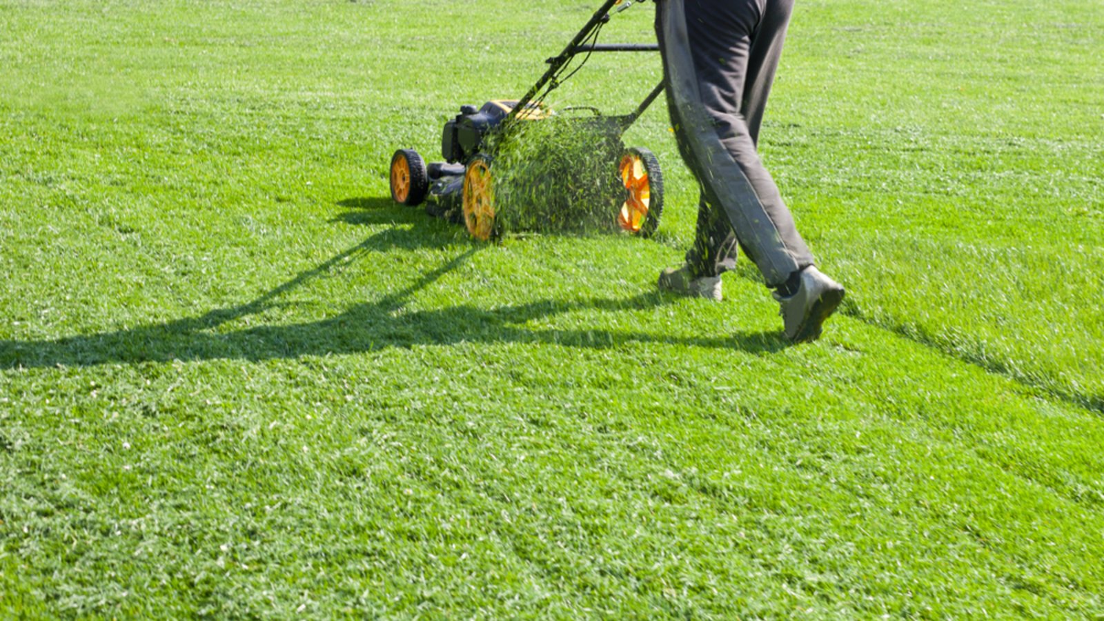 Den Rasen können Sie in der Regel auch mittags mähen.Foto: Tretyakov Viktor / shutterstock.com Den Rasen können Sie in der Regel auch mittags mähen.Foto: Tretyakov Viktor / shutterstock.com