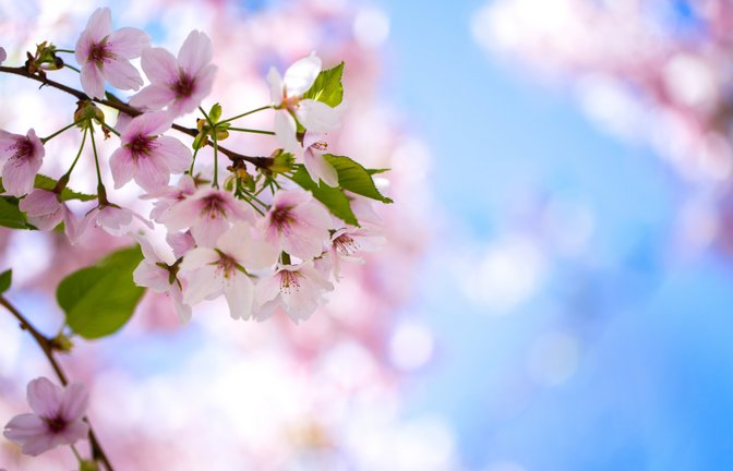 Wann wird es wieder wärmer? Ein Überblick über die aktuelle Wetterlage in Deutschland und die Aussichten für die kommenden Tage.<span class='image-autor'>Foto: Bildagentur Zoonar GmbH / Shutterstock.com</span>