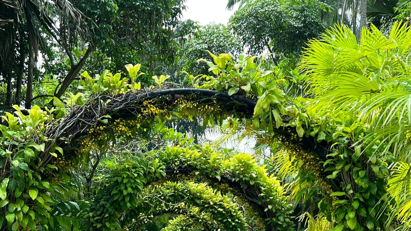Singapur gilt als eine der grünsten Metropolen der Welt. (Archivbild)Foto: Carola Frentzen/dpa Singapur gilt als eine der grünsten Metropolen der Welt. (Archivbild)Foto: Carola Frentzen/dpa