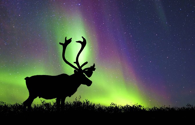 Foto: imago/All Canada Photos/imago stock&people