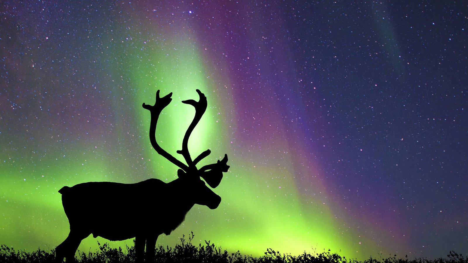 Foto: imago/All Canada Photos/imago stock&people Foto: imago/All Canada Photos/imago stock&people