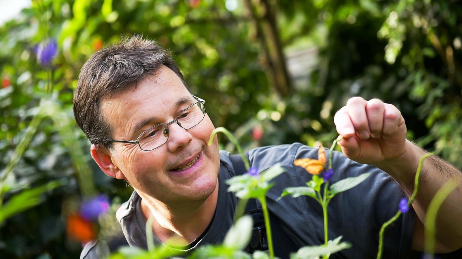 Gärtner Thomas Gengenbacher im Schmetterlingshaus der Wilhelma.Foto: /Max Kovalenko
