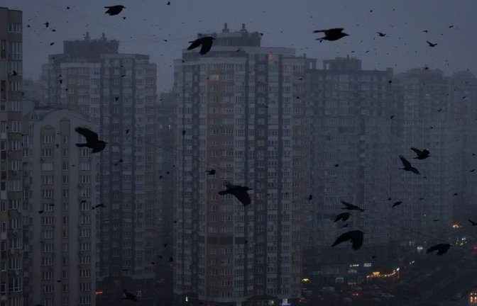 In Kiew fliegen während eines Stromausfalls Krähen durch die Stadt.<span class='image-autor'>Efrem Lukatsky/AP/dpa</span>