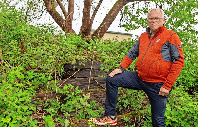 Holzkünstler Werner Wahler gestaltet Sitzbänke und Figuren für den Skulpturenpfad in Ochsenbach, um Kunst mit der Natur im öffentlichen Raum zu verbinden.  <span class='image-autor'>Foto: Bürkle</span>