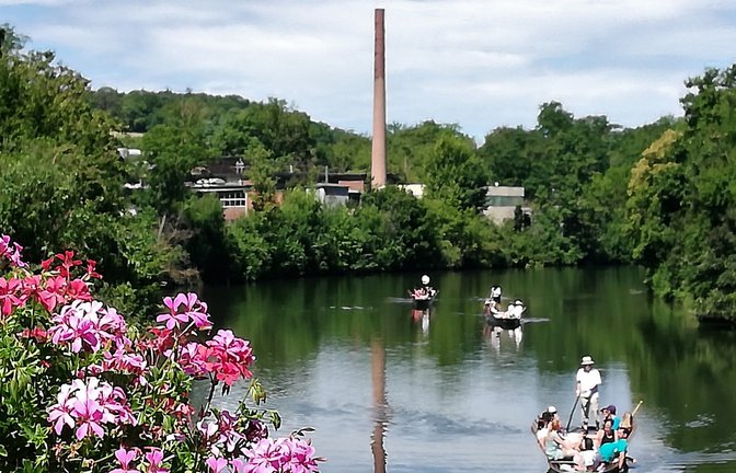 Stocherkahn-Regatta: Sommer auf der Enz in Vaihingen.  <span class='image-autor'>Foto: Arning</span>