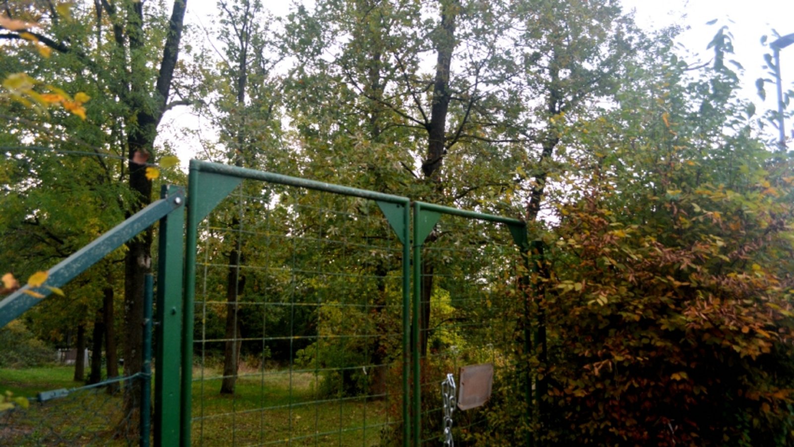 Hier soll der neue Illinger Kindergarten gebaut werden. Foto: Stahlfeld Hier soll der neue Illinger Kindergarten gebaut werden. Foto: Stahlfeld