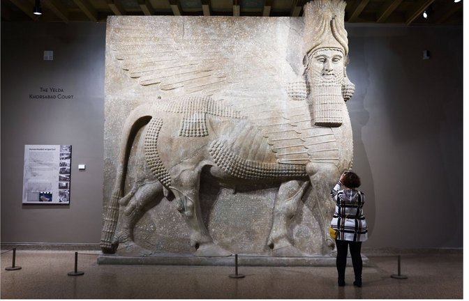 Eine kolossale assyrische Lamassu-Statue im Museum der University of Chicago.<span class='image-autor'>Foto: Imago/NurPhoto</span>