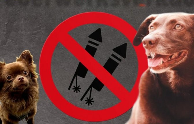 Mit diesem Bild und der Überschrift „Kein Feuerwerksverkauf“ möchte der Edeka Arlt&Trostel auf seinen Social-Media-Kanälen ein Zeichen für Umwelt-und Tierschutz setzen.<span class='image-autor'>Foto: Facebook-Seite/EDEKA Arlt & Trostel</span>