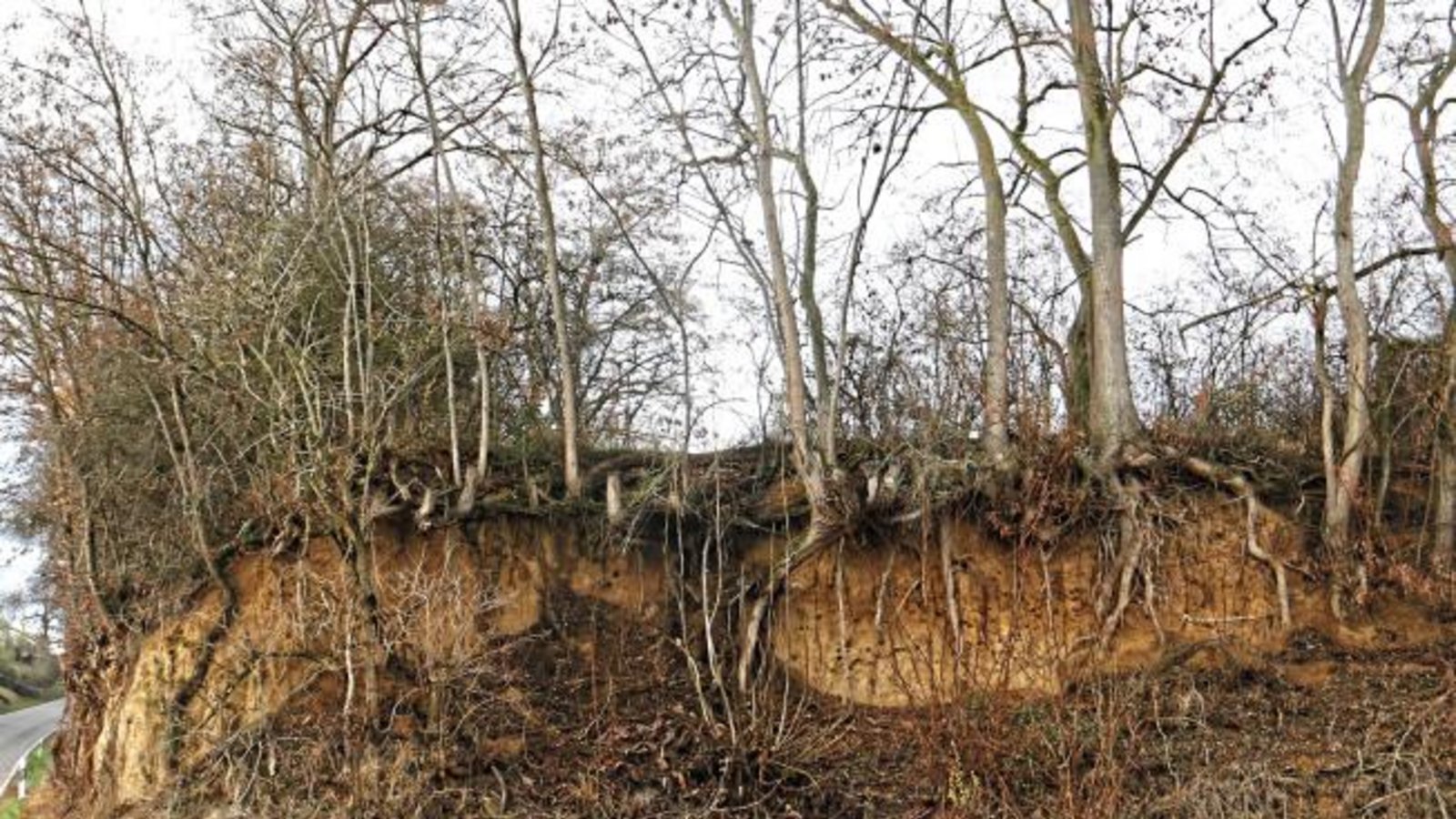 Querschnitt: Am Rand von Enzweihingen sieht man mitten ins Erdreich hinein.  Foto: Rieger