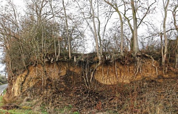 Querschnitt: Am Rand von Enzweihingen sieht man mitten ins Erdreich hinein.  Foto: Rieger