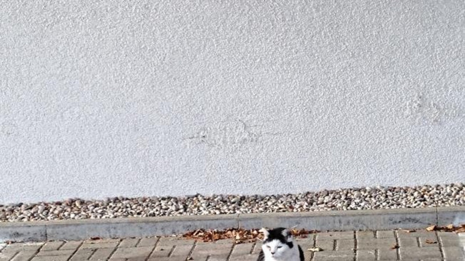 „Parken verboten? Ist mir doch egal!“, schreibt Friedbert Rößler zu seinem Foto.