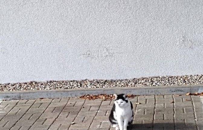 „Parken verboten? Ist mir doch egal!“, schreibt Friedbert Rößler zu seinem Foto.