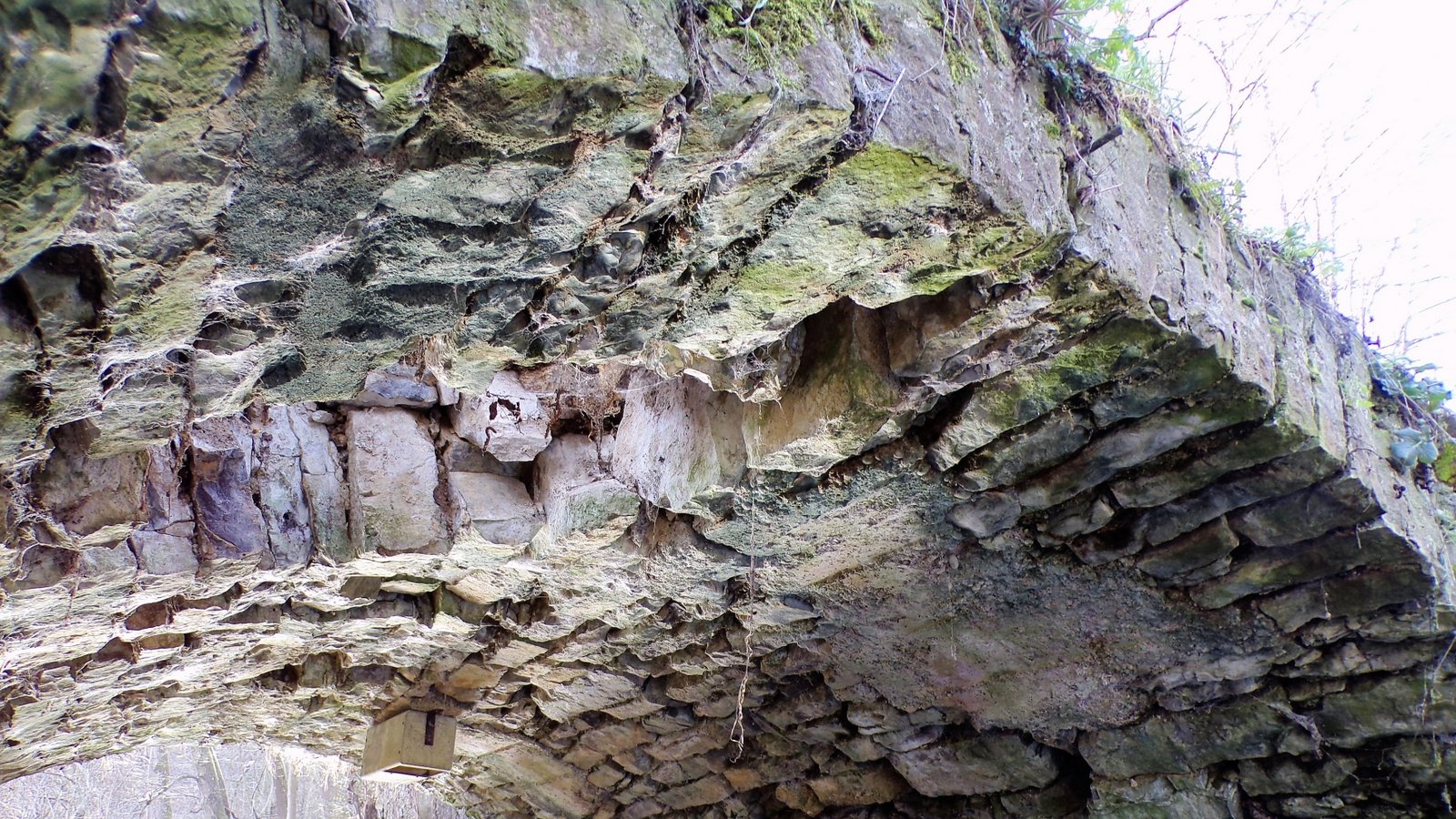 Offenbar haben sich an der Unterseite Steine aus dem Gewölbebau gelöst und sind in den Bach gefallen. Foto: Rapp Offenbar haben sich an der Unterseite Steine aus dem Gewölbebau gelöst und sind in den Bach gefallen. Foto: Rapp