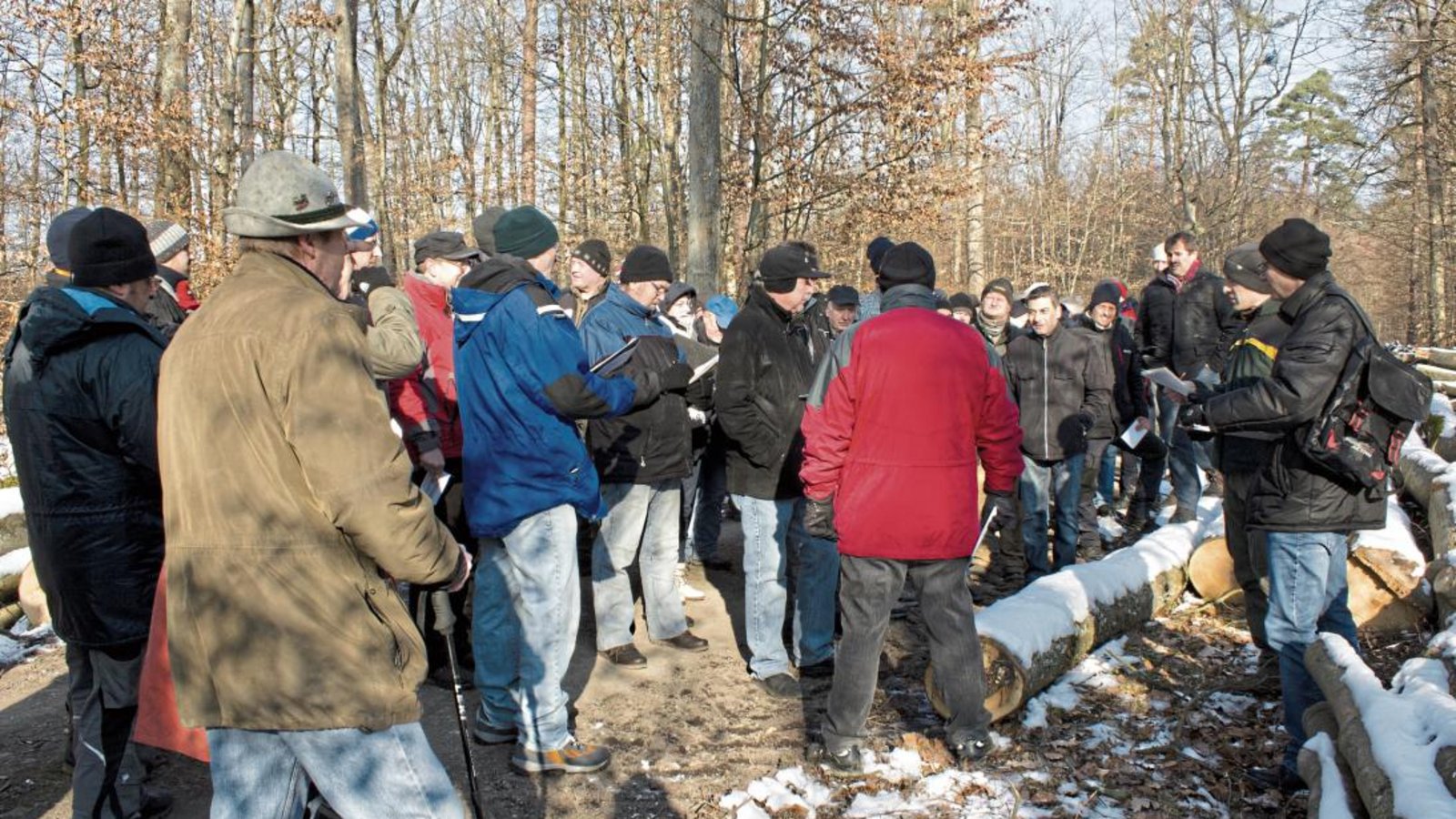 Vor Ort das Brennholz begutachten und ersteigern hat Vorteile, erfordert aber mindestens gute Kleidung.  Foto: Friedrich