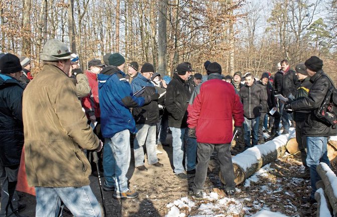Vor Ort das Brennholz begutachten und ersteigern hat Vorteile, erfordert aber mindestens gute Kleidung.  Foto: Friedrich