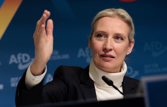Alice Weidel ist für Elon Musk ein Hoffnungsschimmer.<span class='image-autor'>Foto: dpa/Carsten Koall</span>