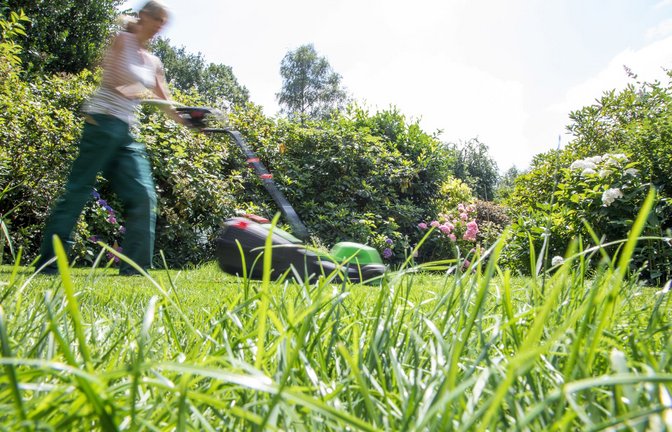 Das Wachstum des Rasens ein guter Hinweis, ob das Gras richtig wächst oder nicht: Müssen Gartenbesitzer nur selten mähen, ist es ein Zeichen, dass es an Dünger fehlt.<span class='image-autor'>Foto: picture alliance/dpa/Christin Klose</span>