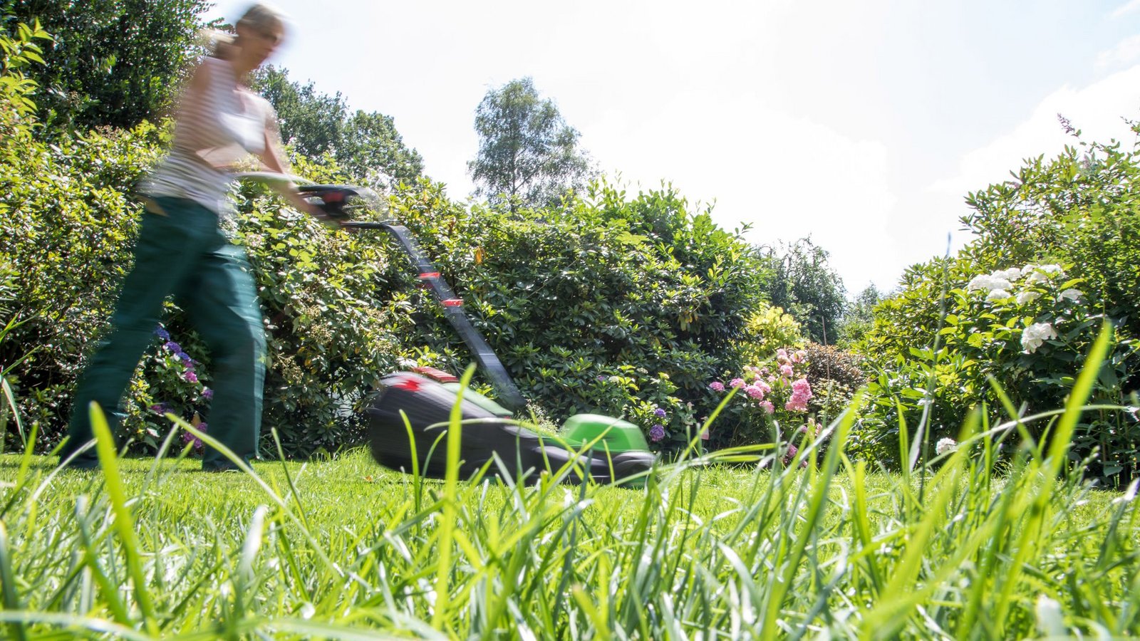 Das Wachstum des Rasens ein guter Hinweis, ob das Gras richtig wächst oder nicht: Müssen Gartenbesitzer nur selten mähen, ist es ein Zeichen, dass es an Dünger fehlt.Foto: picture alliance/dpa/Christin Klose Das Wachstum des Rasens ein guter Hinweis, ob das Gras richtig wächst oder nicht: Müssen Gartenbesitzer nur selten mähen, ist es ein Zeichen, dass es an Dünger fehlt.Foto: picture alliance/dpa/Christin Klose