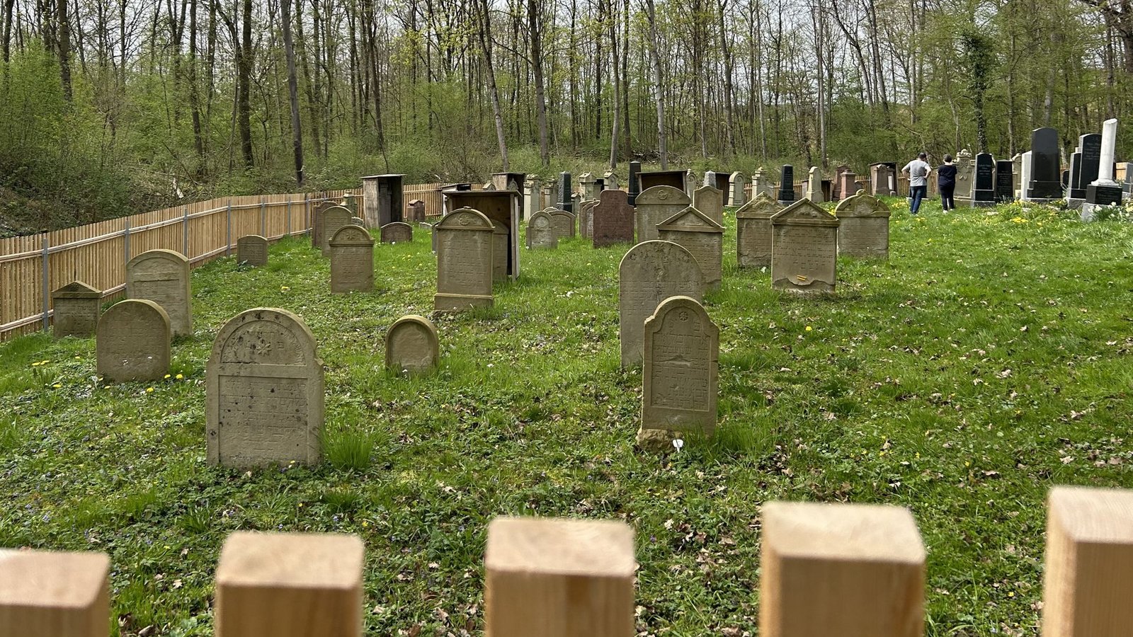 Der jüdische Friedhof in WankheimFoto: Annette Frühauf