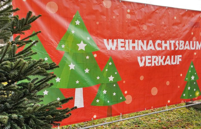 Die in Deutschland beliebteste Sorte, die Nordmanntanne, kostet in diesem Jahr nach Angaben des Bundesverbands der Weihnachtsbaum- und Schnittgrünerzeuger (BVWS) je nach Region und Qualität zwischen 23 und 30 Euro pro Meter.<span class='image-autor'>Foto: Imago/Chromorange</span>