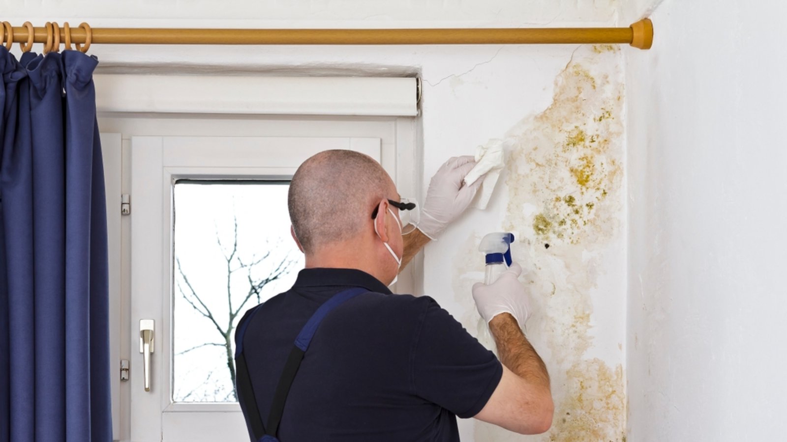 Ist der Schimmel erstmal da, ist die Beseitigung schwierig.Foto: Agenturfotografin / shutterstock.com