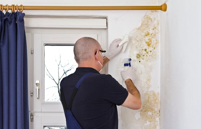 Ist der Schimmel erstmal da, ist die Beseitigung schwierig.<span class='image-autor'>Foto: Agenturfotografin / shutterstock.com</span>