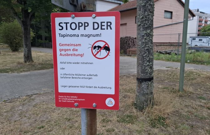 Ein Hinweisschild im Park am Alten Bahnhof in Neureut: Der nördlichste Stadtteil von Karlsruhe ist besonders stark von der Tapinoma-Ausbreitung betroffen.<span class='image-autor'>Julian Meier</span>