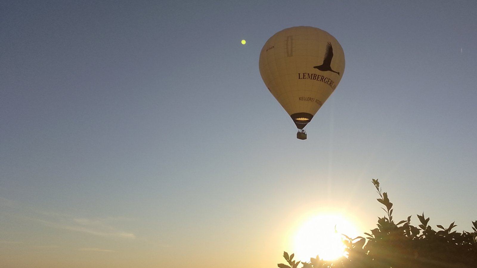 Das Foto von Annegret Siebert-Rieger macht Hoffnung auf einen goldenen Spätsommer.