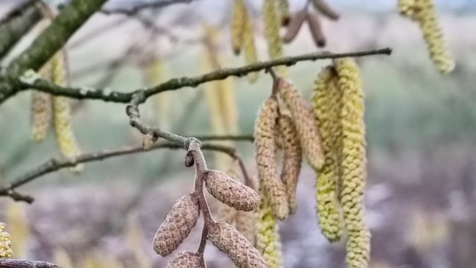 Eiskalt und herzerwärmend