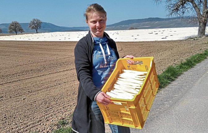 Franziska Bäuerle vom Erdbeer- und Spargelhof Schmid in Kleinsachsenheim bringt das frisch geerntete Edelgemüse in den Hofladen zum Verkauf.. Foto: Glemser