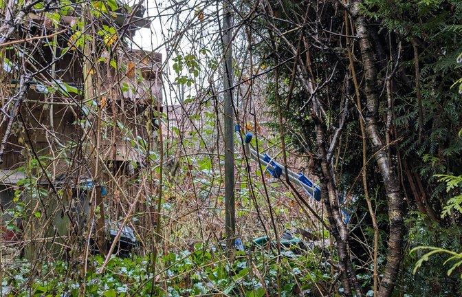 Wie im Dornröschengarten: In der verwilderten Hütte links wurde das Opfer nachts gefesselt festgehalten.<span class='image-autor'>Foto: res/Wolf-Dieter Obst</span>