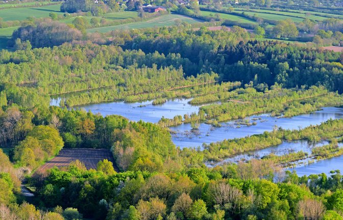 Als wichtigen Punkt für den Naturschutz nennt der Nabu-Vorsitzende die Renaturierung der Moore.<span class='image-autor'>Foto: imago/blickwinkel//C. Kaiser</span>