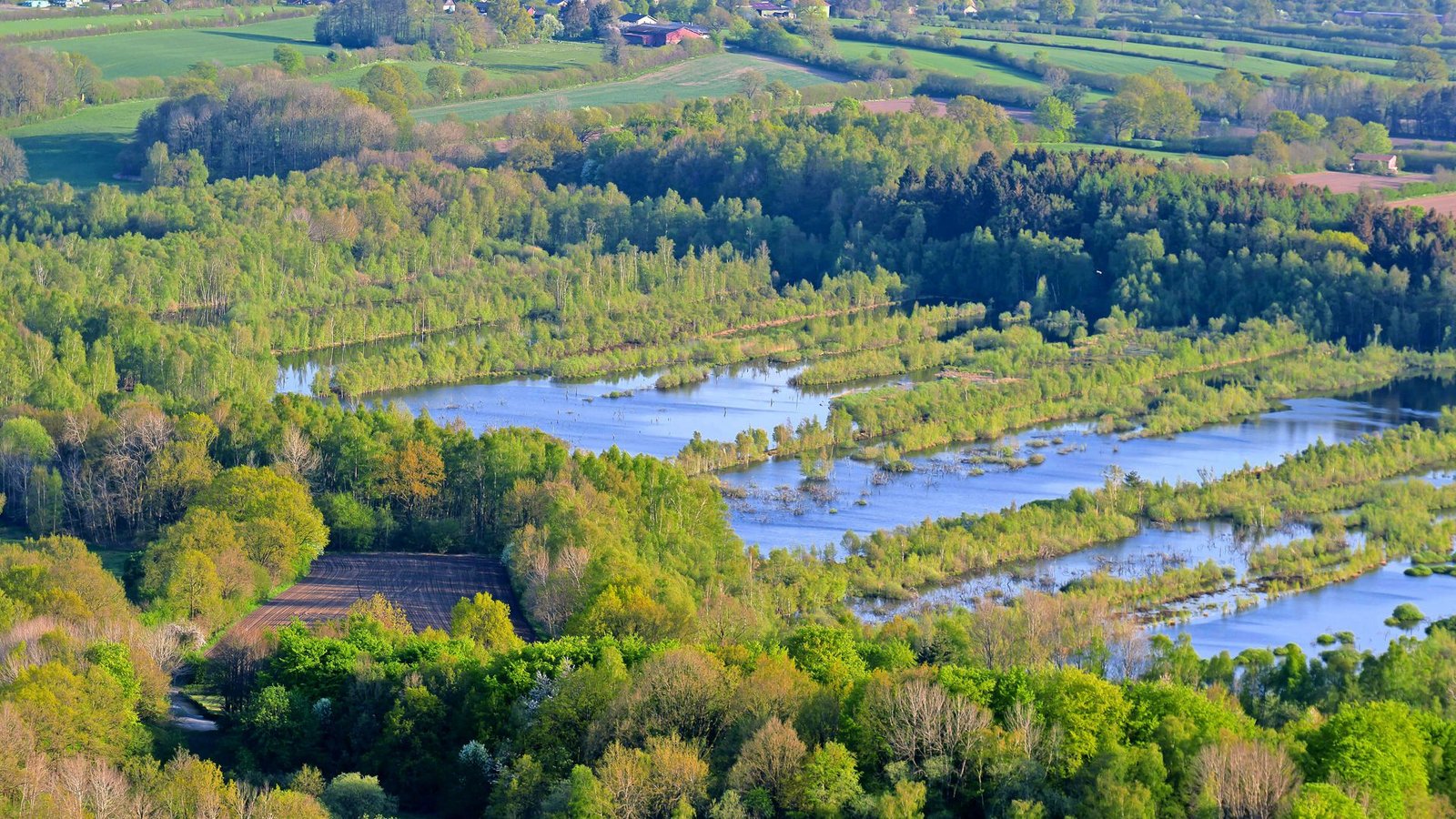 Als wichtigen Punkt für den Naturschutz nennt der Nabu-Vorsitzende die Renaturierung der Moore.Foto: imago/blickwinkel//C. Kaiser Als wichtigen Punkt für den Naturschutz nennt der Nabu-Vorsitzende die Renaturierung der Moore.Foto: imago/blickwinkel//C. Kaiser