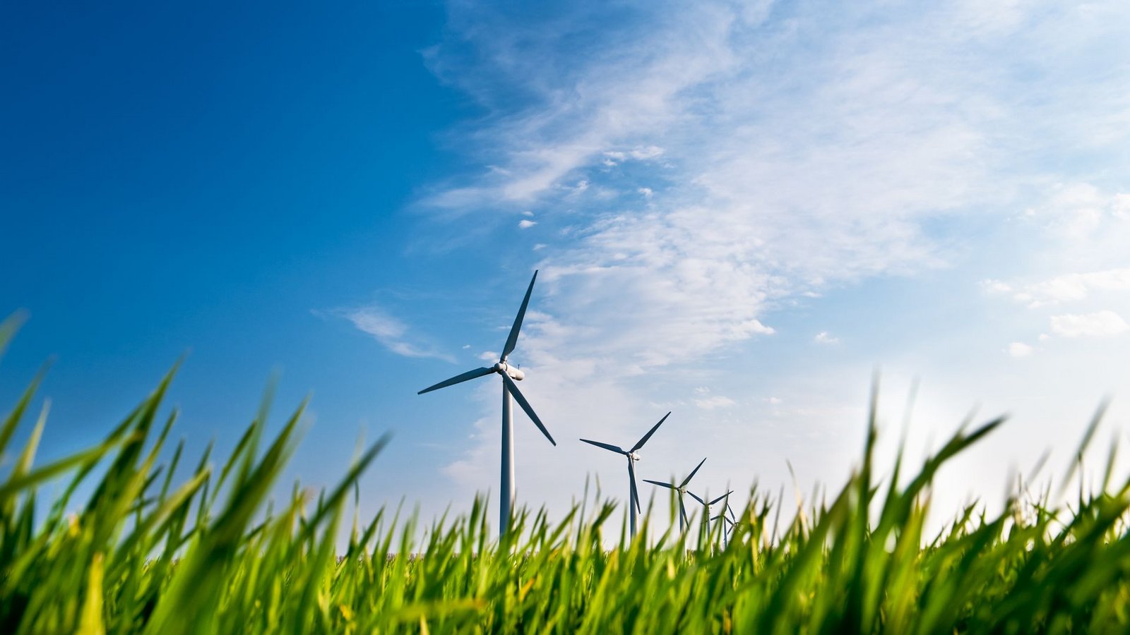 Im vergangenen Jahr bekamen 7600 Windräder in Deutschland keine EEG-Förderung mehr. Mehr als 400 wurden deshalb stillgelegt.Foto: /Stephan Leyk Im vergangenen Jahr bekamen 7600 Windräder in Deutschland keine EEG-Förderung mehr. Mehr als 400 wurden deshalb stillgelegt.Foto: /Stephan Leyk