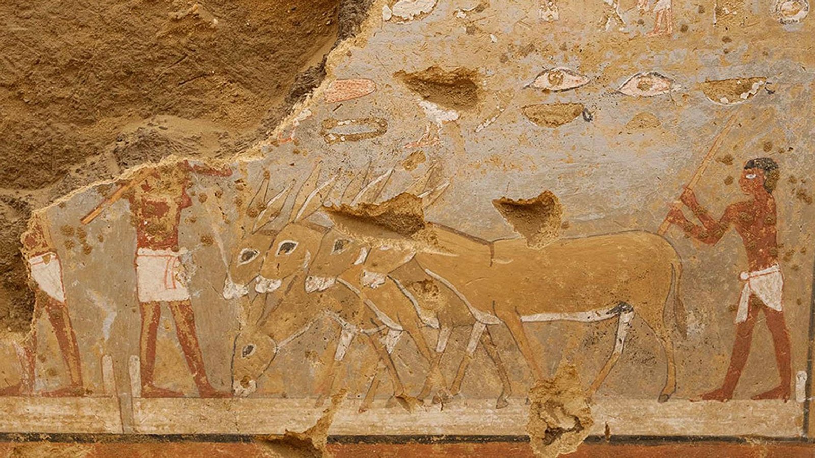 Die Wandmalereien aus der Grab in der Totenstadt von Dahschur zeigen Alltagsszenen aus dem Ägypten der Pharaonen – hier ein Eselsgespann beim Dreschen.Foto: © Stephan Seidlmayer/DAI/Kairo Die Wandmalereien aus der Grab in der Totenstadt von Dahschur zeigen Alltagsszenen aus dem Ägypten der Pharaonen – hier ein Eselsgespann beim Dreschen.Foto: © Stephan Seidlmayer/DAI/Kairo