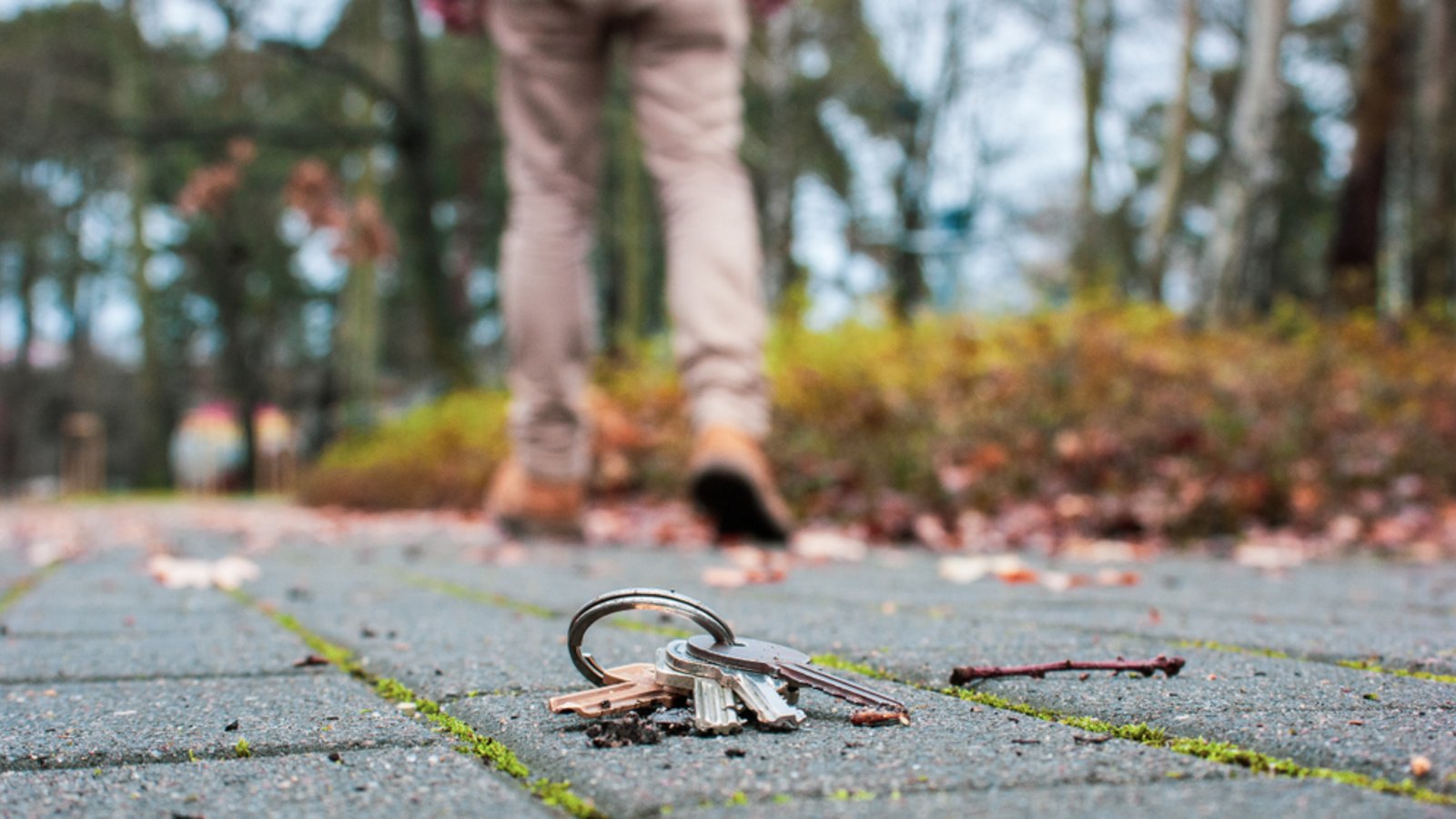 So gehen Sie vor, wenn der Briefkastenschlüssel fehlt.Foto: Aleksander_Gwiazda / shutterstock.com So gehen Sie vor, wenn der Briefkastenschlüssel fehlt.Foto: Aleksander_Gwiazda / shutterstock.com