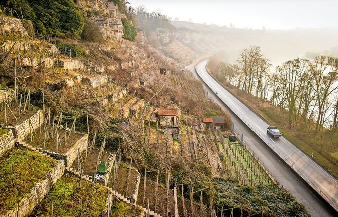 Die Auswirkungen des Strukturwandels sind längst sichtbar: Die Steillagen am Neckar werden teilweise nicht mehr beackert.<span class='image-autor'>Foto: Simon Granville</span>