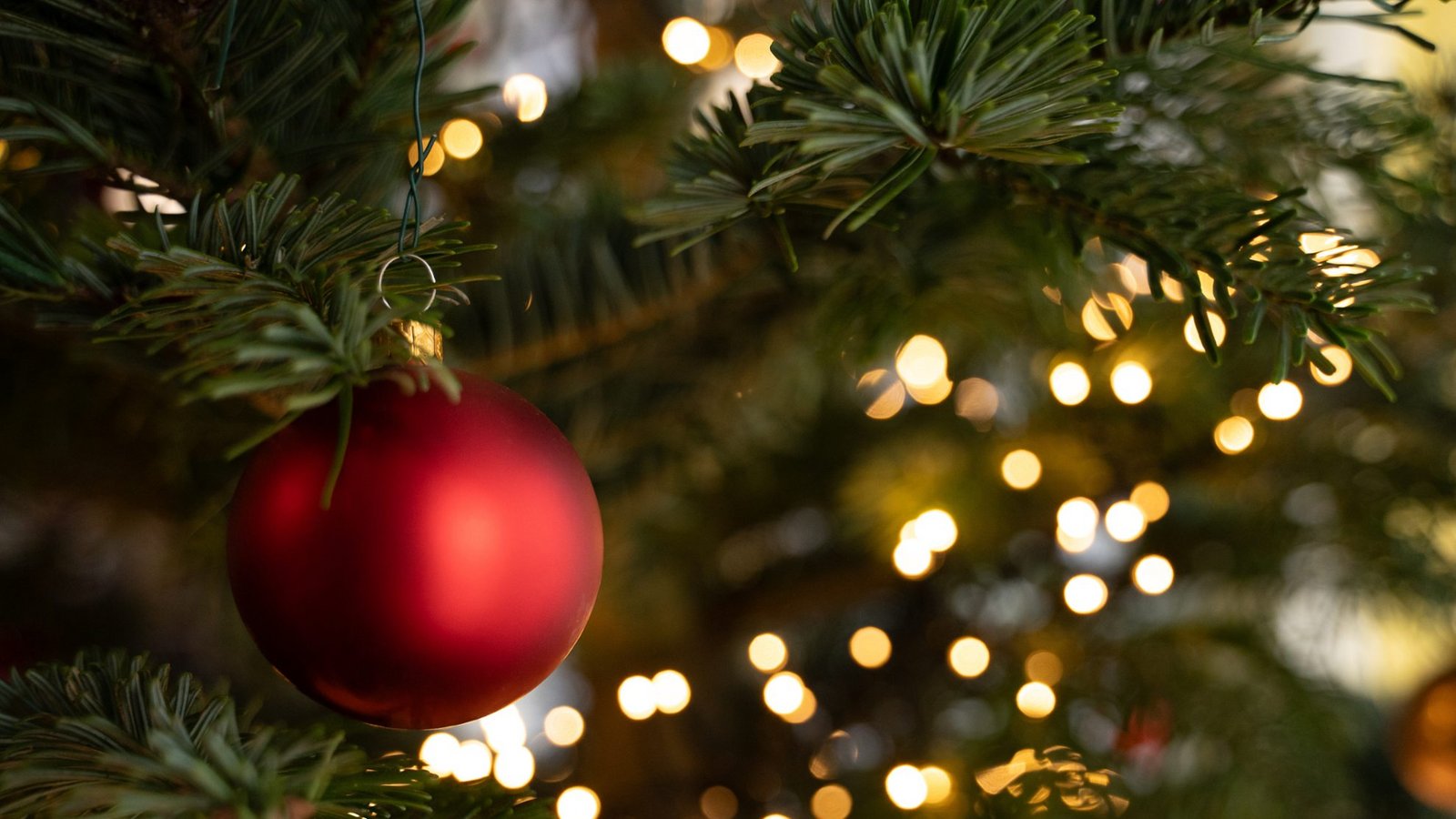 Die Texte zu zehn beliebten deutschen Weihnachtsliedern gibt es hier zusammengefasst.Foto: picture alliance/dpa | Markus Lenhardt Die Texte zu zehn beliebten deutschen Weihnachtsliedern gibt es hier zusammengefasst.Foto: picture alliance/dpa | Markus Lenhardt