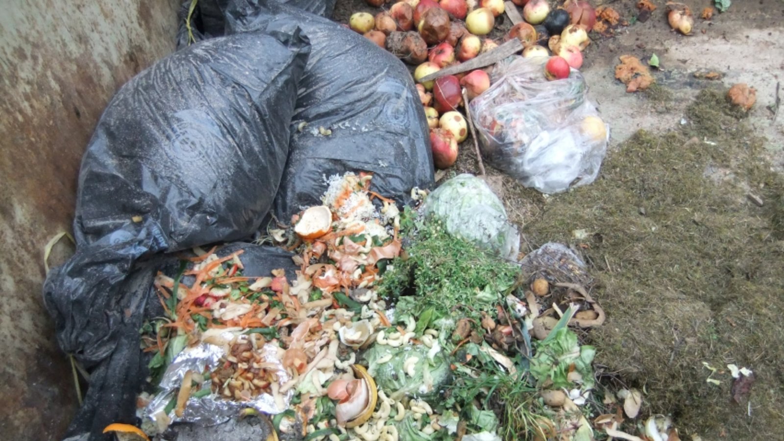 Auf den Häckselplätzen des Enzkreises landen immer wieder Abfälle, die dort nicht hingehören. Foto: LE Auf den Häckselplätzen des Enzkreises landen immer wieder Abfälle, die dort nicht hingehören. Foto: LE
